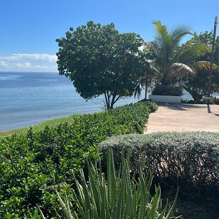 Bayfront Villa & Apartment Портмор Екстериор снимка